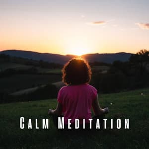 Calm Meditation: Lofi Serenity for Mindfulness - Lofi Minds