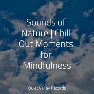 Sounds of Nature | Chill Out Moments for Mindfulness - White Noise for Babies