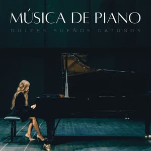 Música De Piano: Dulces Sueños Gatunos - Sonidos de lluvia FX