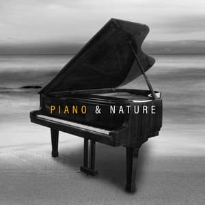 Piano & Soothing Airflow - Johny Noise
