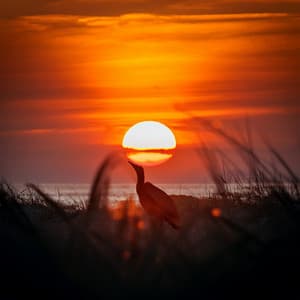 Music For Slow And Soothing Afternoons - Relaxing Spa Music Zone