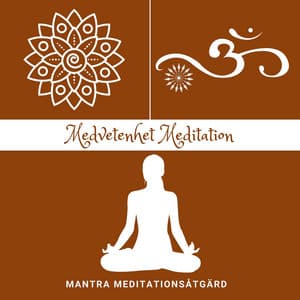Medvetenhet Meditation: Stödja Välbefinnande - Mantra Meditationsåtgärd
