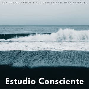 Estudio Consciente: Sonidos Oceánicos Y Música Relajante Para Aprender - Sonidos de las olas del océano Pacífico