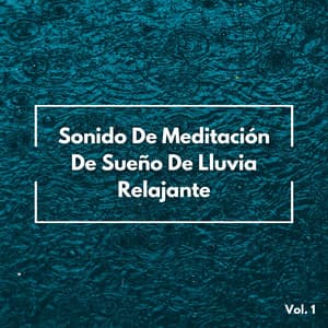 Sonido De Meditación De Sueño De Lluvia Relajante Vol. 1 - Lluvia y frío