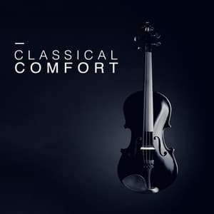 Classical Comfort - Beethoven Consort