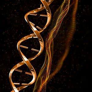 Golden Helix Awakening - Bhuvi Ananda