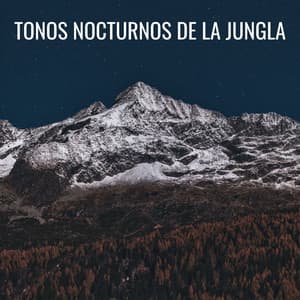 Tonos Nocturnos De La Jungla - Asociación de sonidos nocturnos