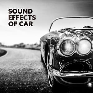 Sound Effects of Car: Different Models of Cars, Passion and Love for Cars - Sound Effects Zone