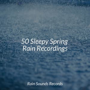50 Sleepy Spring Rain Recordings - Relaxing Music