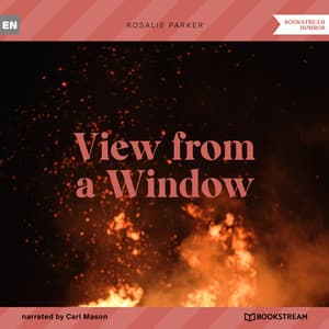View from a Window - Carl Mason