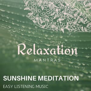 Sunshine Meditation - Easy Listening Music - Zen Healing Melodies