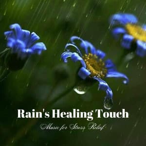 Rain's Healing Touch: Music for Stress Relief - Aurise