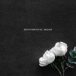 Sentimental Mood - A Piano Oasis of Peace and Relaxation - Sentimental Piano Music Oasis
