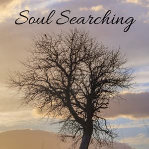 Soul Searching - Tight Chill Creator