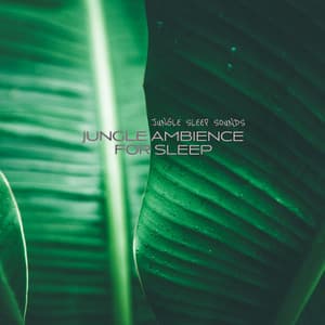 Jungle Ambience for Sleep - Jungle Sleep Sounds
