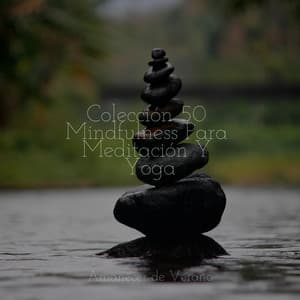 Colección 50 Mindfulness Para Meditación Y Yoga - Sons da Natureza