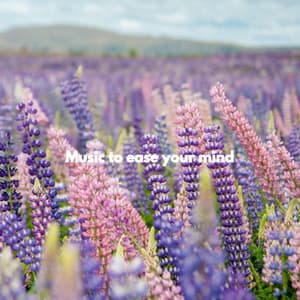 Music to ease your mind - Jazz Alegre para Cafés