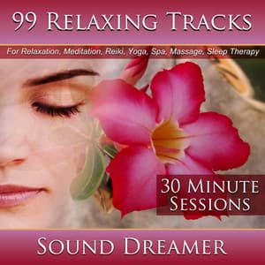 99 Relaxing Tracks - Sound Dreamer
