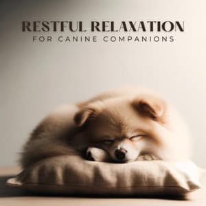 Restful Relaxation for Canine Companions - Ultimate New Age Academy