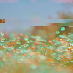 Bubbly Guitar Quartet - Bgm for Open Acoustics - Bossa Nova Lounge