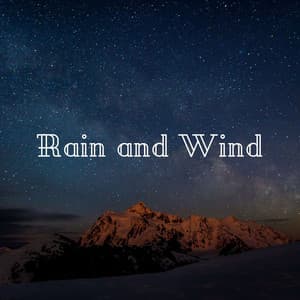 Rain and Wind - Tranquility Spree
