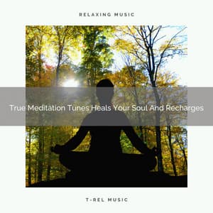 True Meditation Tunes Heals Your Soul And Recharges - Spa And Soft Relax