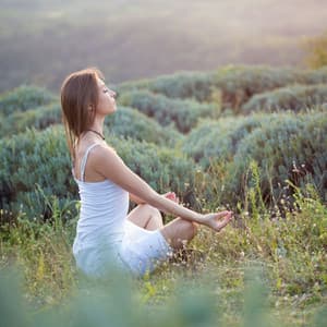 Serene Nature's Stillness: ASMR Rainfall for Centered Meditation - Meditation Rain Sounds