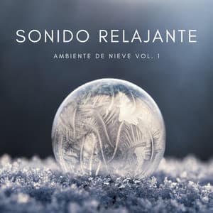 Sonido Relajante: Ambiente De Nieve Vol. 1 - Dormir Bien