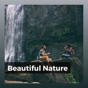 Beautiful Nature - Wildlife Sound Recordings