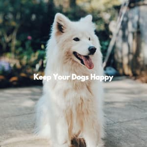 Keep Your Dogs Happy - Jazz Morning Playlist
