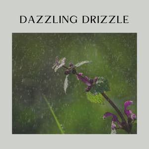 Dazzling Drizzle - Clear Mind Raining