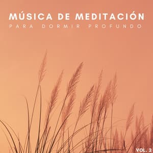 Música De Meditación Para Dormir Profundo Vol. 2 - Musica de Meditacion para Relajarse