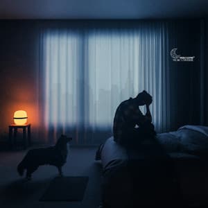 Struggling with Sleep: Create a Peaceful Bedtime Routine - Trouble Sleeping Music Universe