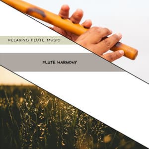 Flute Harmony: The Sound of Relaxation - Relaxing Flute Music