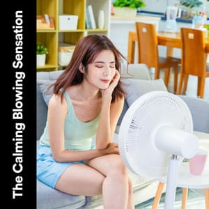 The Calming Blowing Sensation - Box Fan Sounds