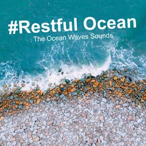 #Restful Ocean - The Ocean Waves Sounds