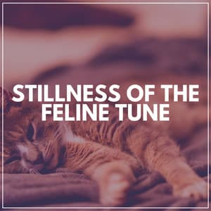 Stillness of the Feline Tune - Music for Cats Peace