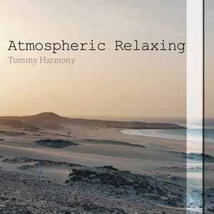 Atmospheric Relaxing - Tommy Harmony