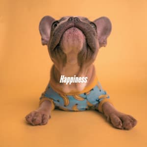 Happiness - Musica para Hoteles De Lujo