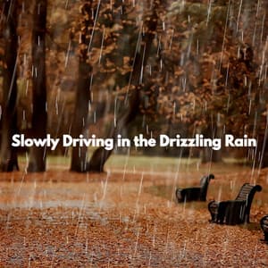 Slowly Driving in the Drizzling Rain - French Pastry Shop Music