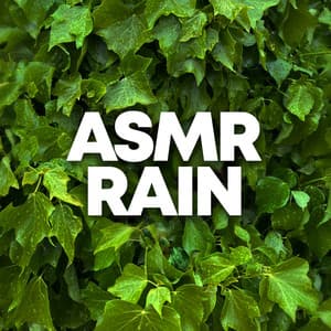 ASMR Rain - Relaxing Sounds