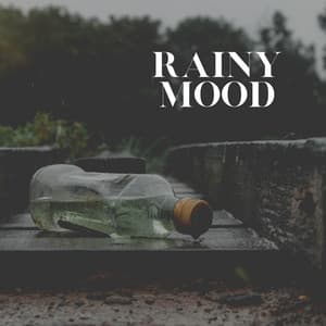 Rainy Mood - Day & Night Rain