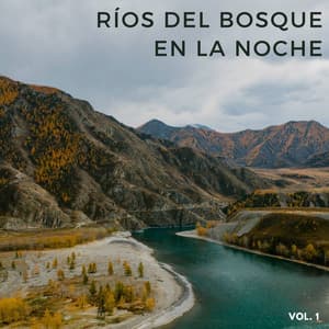 Ríos Del Bosque En La Noche Vol. 1 - La Naturaleza Del Sueño