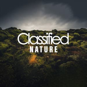 Classified Nature - Rain Sounds Sleep