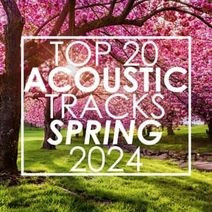 Top 20 Acoustic Tracks Spring 2024 - Guitar Tribute Players