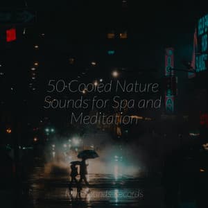 50 Cooled Nature Sounds for Spa and Meditation - Cascada de Lluvia