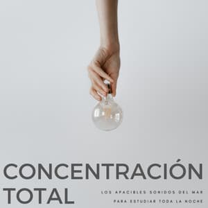 Concentración Total: Los Apacibles Sonidos Del Mar Para Estudiar Toda La Noche - Musica Para Estudiar Academy