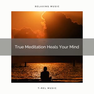 True Meditation Heals Your Mind - Timeless Relax