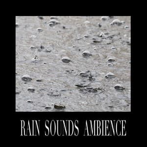 Rain Sounds Ambience - Rain Sounds HD