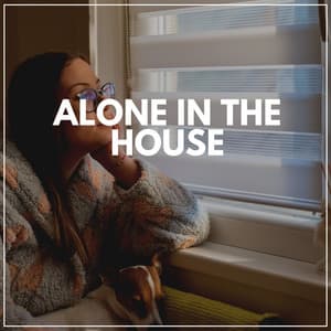 Alone in the House - Rainfall Meditations